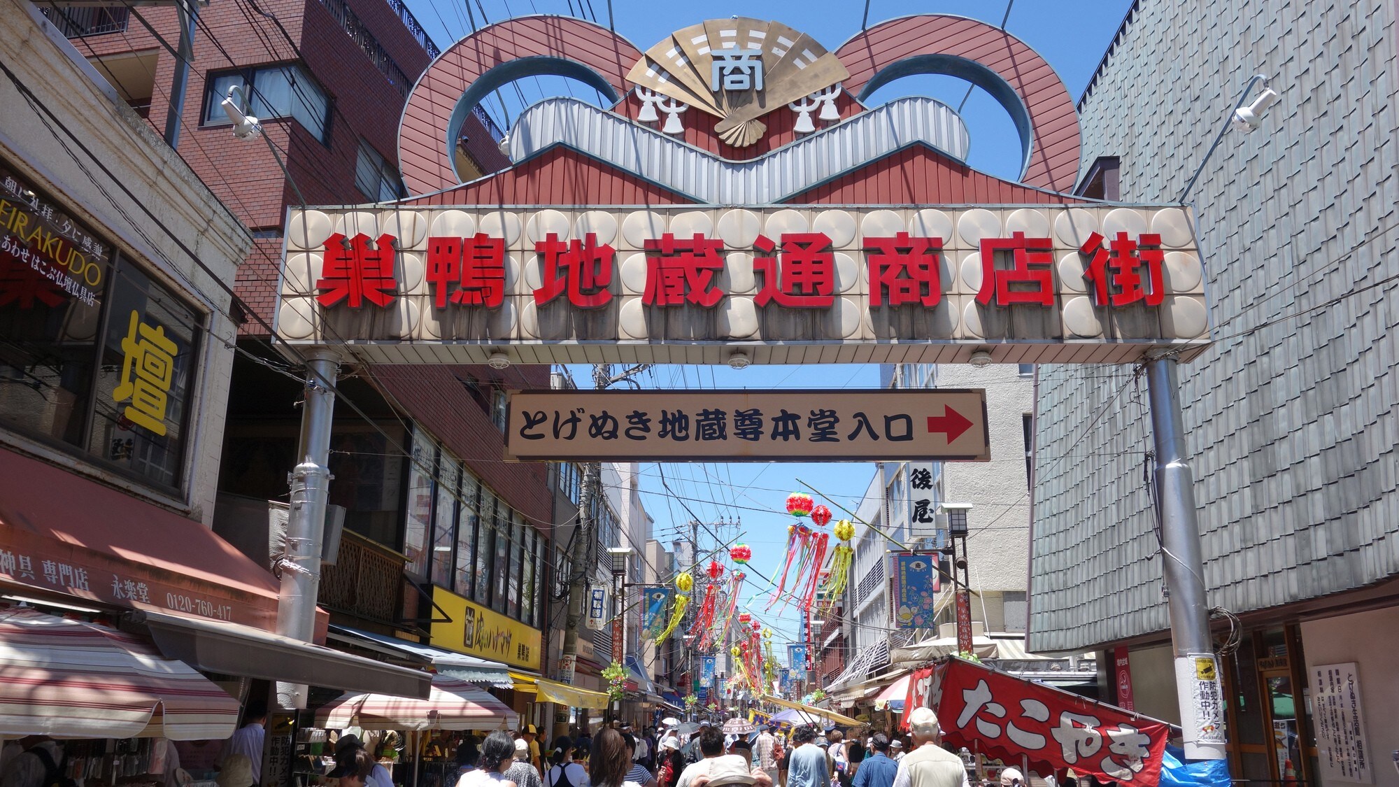 おばあちゃんの原宿「巣鴨」に、あえて若者が住んでみたら?
