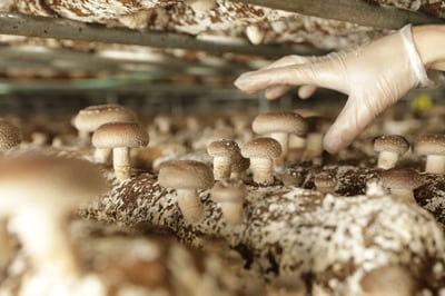 （三重県いなべ市）