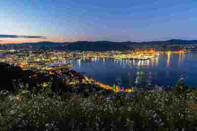 （※ウェリントンの風景／PIXTA）