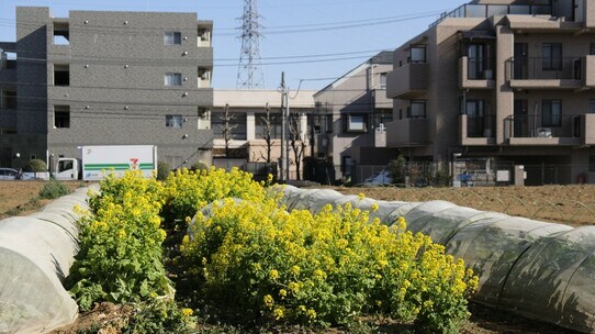 不動産投資への影響が懸念される「法改正」3つのポイント