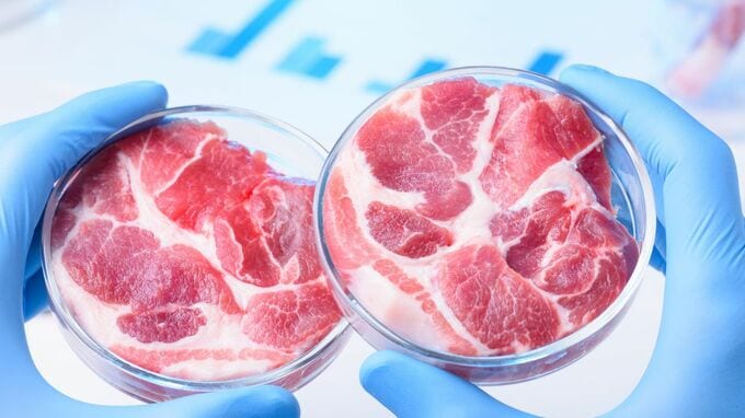 次世代フードテック「培養肉」ビジネスの裏側「生産コスト4,000分の1」は机上の空論か…“試験管ミート”大量生産の限界【専門家が解説】
