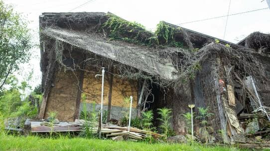 所有者不明土地の総面積、九州を超える…登記義務化の効果は？
