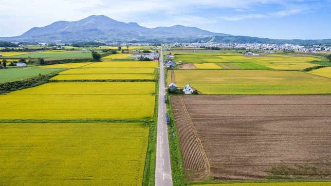 「北海道移住が夢だったのですが…」〈月15万円生活〉を目指した夫婦がわずか3年で「東京に戻った」ワケ