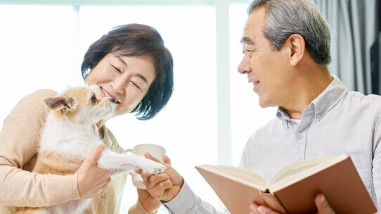 自分が死んでも「ペット」の生活を保障する「4つの方法」【司法書士が解説】