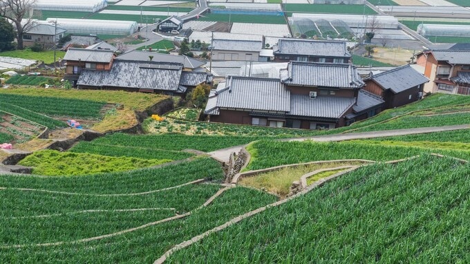 「また放棄させる気か」高校中退の甥に長男激怒…衝撃の結末