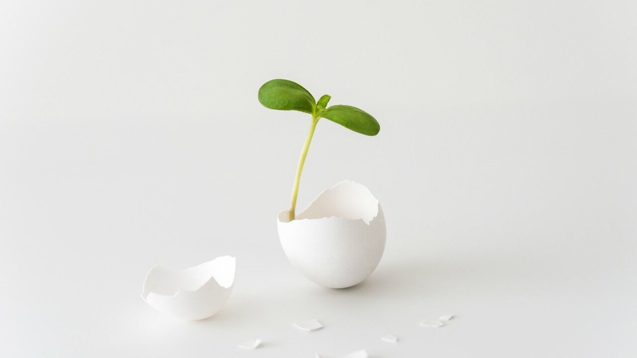 発毛効果が実感できない…すぐに諦めてはいけない理由