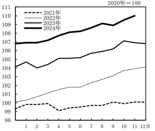 総務省「2020年基準消費者物価指数　全国2024年（令和6年）11月分」より引用※