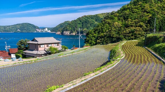 「独身の息子には背負いきれない…」高齢父が〈故郷の不動産〉全処分を決意した日