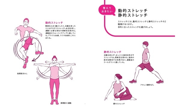 中野ジェームズ修一著『やせるのはどっち？』（飛鳥新社）より。