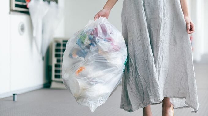 「アシダカグモ飼育中」…共同住宅のゴミ問題・次世代型解決策