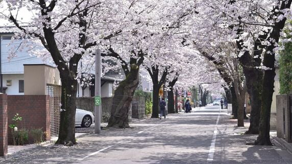 日本人富裕層すら「もう東京に家なんて買えない」…坪単価250万円の世田谷の駅遠物件が、数年で400万円以上に。「タワマン」を買い尽くした海外投資家が次に狙う「私鉄沿線の高級住宅街」