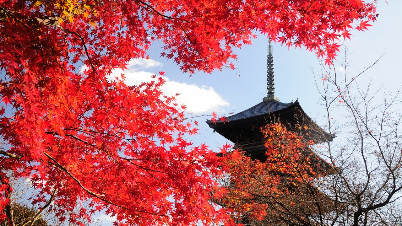 なぜ今、「京都の町家」投資なのか?