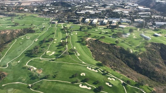 トーリーパインズ