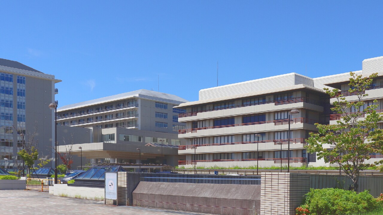 大量の汗と、背中の激痛…「白血病」と告げられるまでの出来事【患者の実録】
