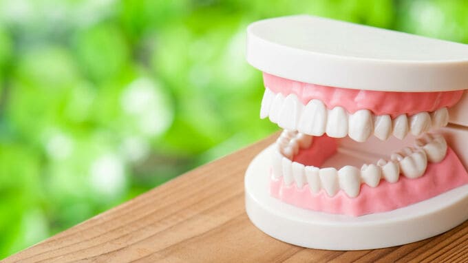 歯を守る“セルフケアプログラム”が人気を博す理由