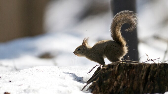 相続人から外される「相続欠格」に該当するケースとは？