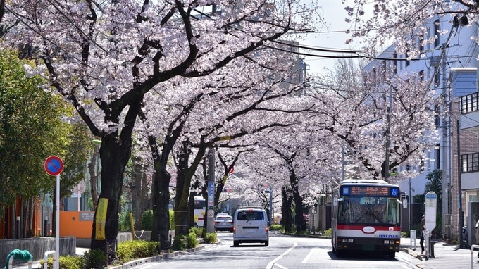 もはや独立？「ハイソ世田谷」から逸脱した「千歳船橋」の今