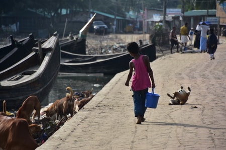 （写真はイメージです/PIXTA）