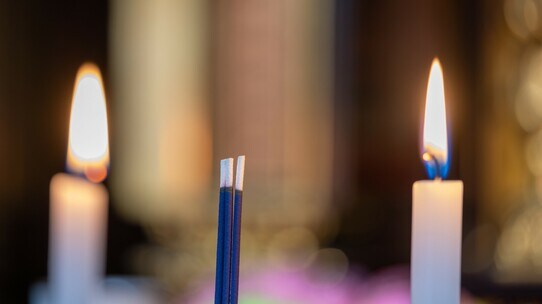 「誰のものかわからない遺骨が」80代・独身女性の緊急事態【成年後見の実例】