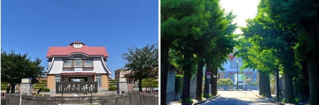 写真左：復元された「田園調布」駅／写真右：街路樹が並ぶ高級住宅街