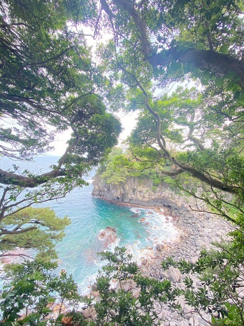 城ヶ崎海岸などへ観光も