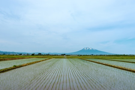 （※写真はイメージです／PIXTA）