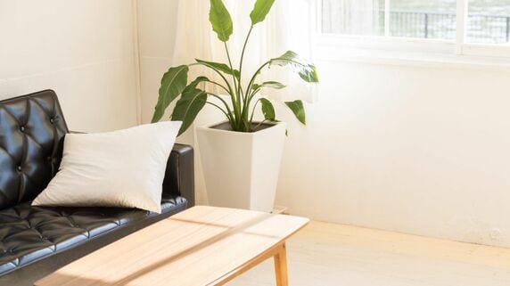 不動産の「ワンルーム（1R）」とは？「ワンルーム投資」のメリットや注意点もAFPが解説