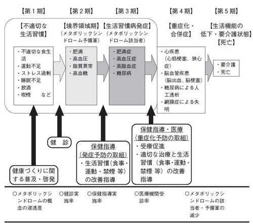 出所）厚生労働省生活習慣病対策室（2013）「新たな健診･保健指導と生活習慣病対策」より筆者抜粋。