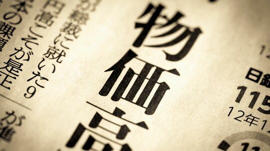 物価上昇が〈実態よりも苦しく〉感じられる理由。日米のデータで示す“統計の妙”…「体感」指標にトランプ政権も熱視線