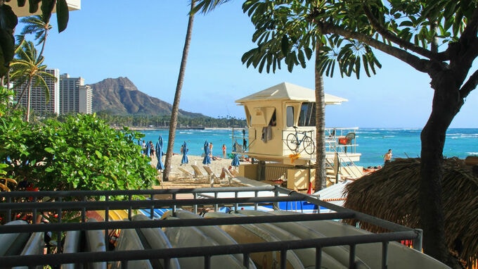 留学先レポート――米国・ハワイ③