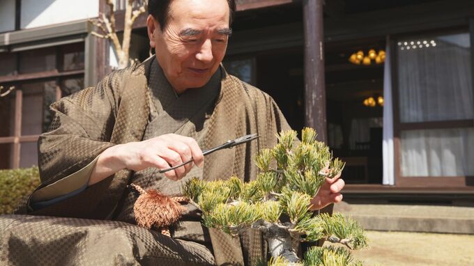 本当は「貯金1億円・年金420万円」だが…〈60代元共働き夫婦〉友人が来たら高級盆栽を隠し、シニア割の情報通、移動は軽自動車。富裕層であることを隠す理由【FPが解説】