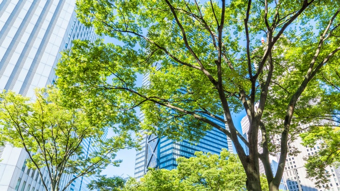 MBOに不可欠な「資金」「株式の集約」「秘密保持」とは？