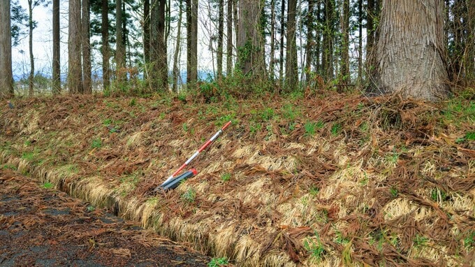 不要な土地を国が引き取る「相続土地国庫帰属制度」にかかる費用は？【行政書士が解説】 