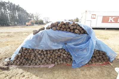 テンフィールズファクトリーが1つ380円で買い取り、再利用する（※毎年の市況により、菌床の販売及び買取費用は変動）