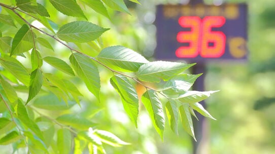 猛暑で高まる消費熱　エアコン売れ行き好調だと･･･