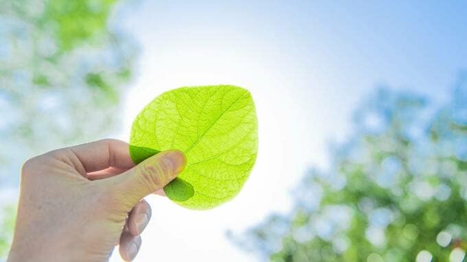三井ホームが考えるSDGs貢献「木造建築」は何ができるのか？ 