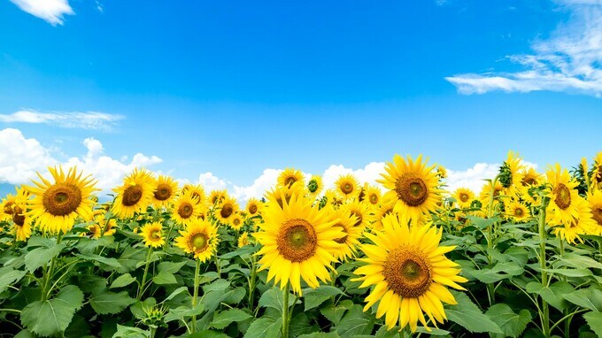 80歳になれば大差ナシ…50代で見えてくる「最終的な着地点」