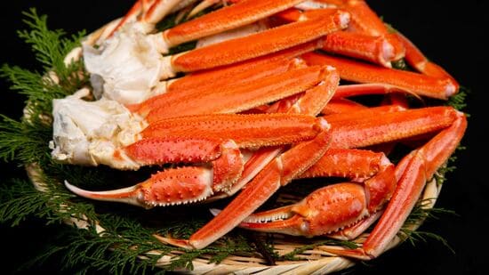 松葉ガニ※画像はイメージです。実際の返礼品とは異なります