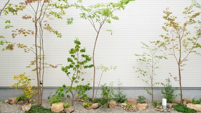 日本の住宅に欠落する美意識…景観と調和する住まいの在り方