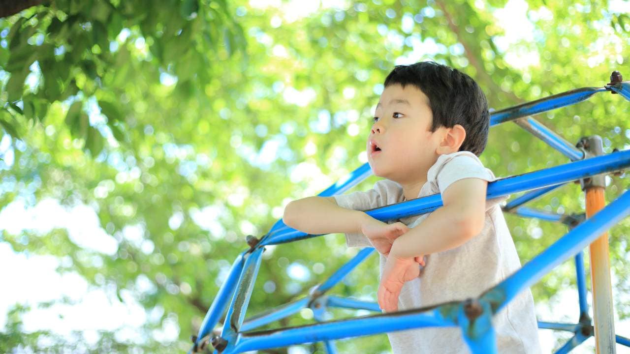 子どもの権利条約に基づいた 子どもが幸せになるための、別居・離婚・面会交流のすべて ゴールドオンライン