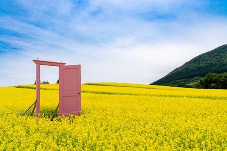 （やくらいガーデン　ふるるの丘（宮城県加美町）／PIXTA）