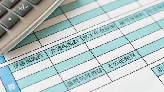 物価高対策はどこへ向かうのか――社会保障と税制改革の分岐点