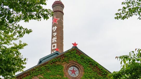 1,000億円超の出資を発表し、東証プライム・上昇率1位となった〈サッポロビール〉の動向…日経平均は「68,256.96円」と続落【7月7日の国内株式市場概況】