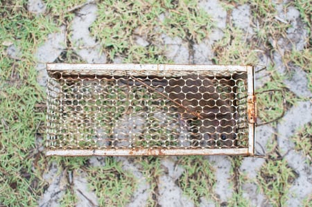 （※写真はイメージです／PIXTA）