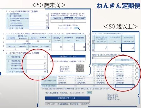 ねんきん定期便でチェックする箇所