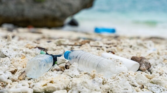 2026年から宿泊税がさらに上昇…ハワイで導入される「Green Fee」、その背景にある“深刻な現実”と観光客に求められる“新たな責任”