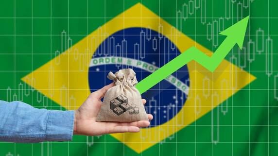 ブラジルインフレ率に見る、レアルの今後