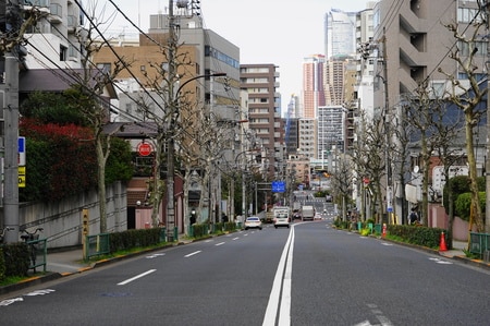 「白金高輪」駅近くの魚籃坂