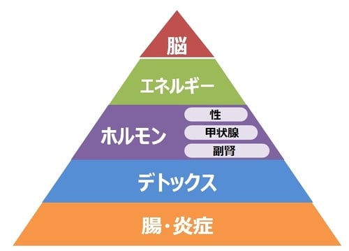 臨床分子栄養医学研究会HPより引用