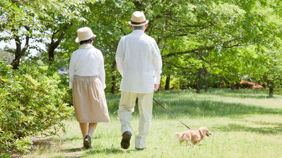 子どもがいない夫婦…遺言書を作成したらどうする？